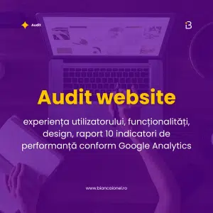 audit website bianca ionel